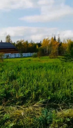 ДП Родной в Каменске-Уральском - kamensk-uralsk.yutvil.ru - фото 1