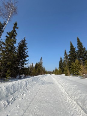 ДП Родной в Каменске-Уральском - kamensk-uralsk.yutvil.ru - фото 7