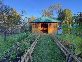 Екатеренбург сад Торгмаш, СНТ  Садовод, уч. 52 в Каменске-Уральском - kamensk-uralsk.yutvil.ru - фото 10