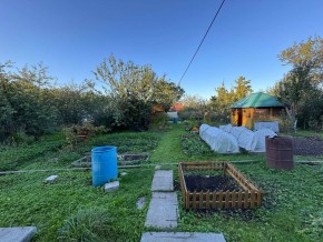 Екатеренбург сад Торгмаш, СНТ  Садовод, уч. 52 в Каменске-Уральском - kamensk-uralsk.yutvil.ru - фото 11