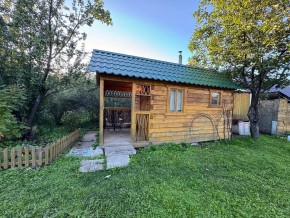 Екатеренбург сад Торгмаш, СНТ  Садовод, уч. 52 в Каменске-Уральском - kamensk-uralsk.yutvil.ru - фото 12