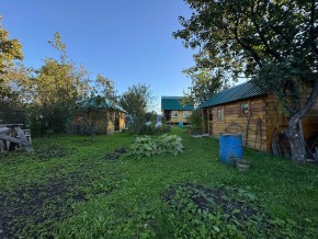 Екатеренбург сад Торгмаш, СНТ  Садовод, уч. 52 в Каменске-Уральском - kamensk-uralsk.yutvil.ru - фото 14