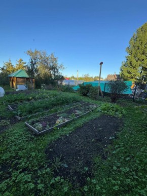 Екатеренбург сад Торгмаш, СНТ  Садовод, уч. 52 в Каменске-Уральском - kamensk-uralsk.yutvil.ru - фото 16