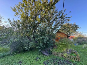 Екатеренбург сад Торгмаш, СНТ  Садовод, уч. 52 в Каменске-Уральском - kamensk-uralsk.yutvil.ru - фото 17