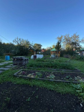 Екатеренбург сад Торгмаш, СНТ  Садовод, уч. 52 в Каменске-Уральском - kamensk-uralsk.yutvil.ru - фото 19