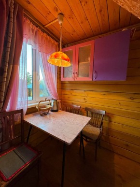 Екатеренбург сад Торгмаш, СНТ  Садовод, уч. 52 в Каменске-Уральском - kamensk-uralsk.yutvil.ru - фото 4