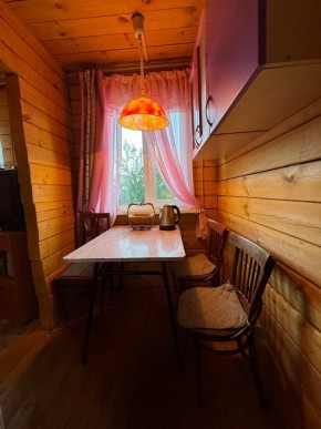 Екатеренбург сад Торгмаш, СНТ  Садовод, уч. 52 в Каменске-Уральском - kamensk-uralsk.yutvil.ru - фото 5