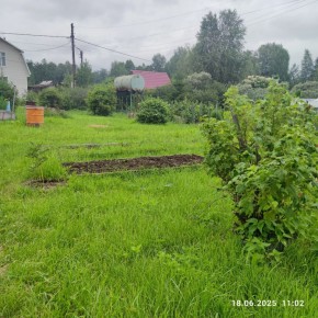 г Верхняя пышма, СНТ Мираж, уч.№ 99 в Каменске-Уральском - kamensk-uralsk.yutvil.ru - фото 8