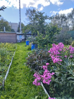 Коллективный сад номер 7, участок 58 в Каменске-Уральском - kamensk-uralsk.yutvil.ru - фото 23