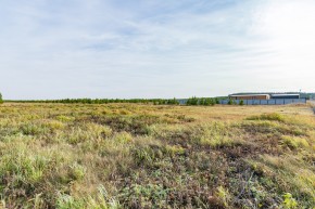 Российская Федерация, Свердловская область, Сысертский городской округ, территория садоводческого некоммерческого товарищества Бобровские дачи, улица Каштановая, земельный участок № 38 в Каменске-Уральском - kamensk-uralsk.yutvil.ru - фото 24