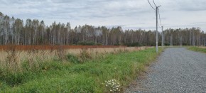 с. Новоалексеевское, КП Оникс,  в Каменске-Уральском - kamensk-uralsk.yutvil.ru - фото 2
