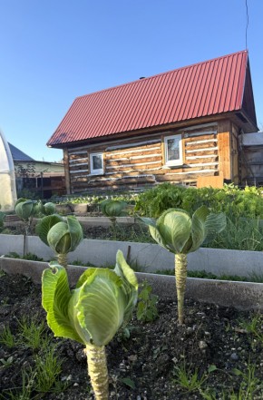 СНТ Дорожник в Каменске-Уральском - kamensk-uralsk.yutvil.ru - фото 19