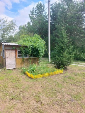 СНТ Родники в Каменске-Уральском - kamensk-uralsk.yutvil.ru - фото 1