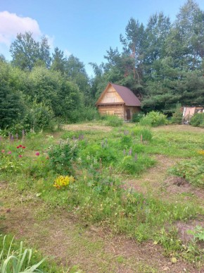 СНТ Родники в Каменске-Уральском - kamensk-uralsk.yutvil.ru - фото 2
