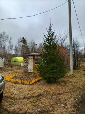 СНТ Родники в Каменске-Уральском - kamensk-uralsk.yutvil.ru - фото 5 СНТ Родники в Каменске-Уральском - kamensk-uralsk.yutvil.ru - фото 5