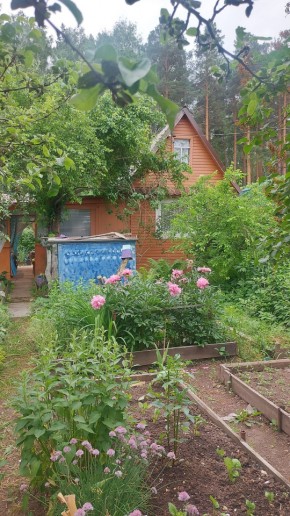 СНТ Садовод-24 в Каменске-Уральском - kamensk-uralsk.yutvil.ru