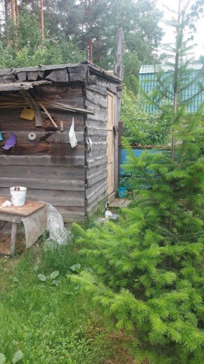Екатеринбург, СНТ Садовод-24 в Каменске-Уральском - kamensk-uralsk.yutvil.ru - фото 13