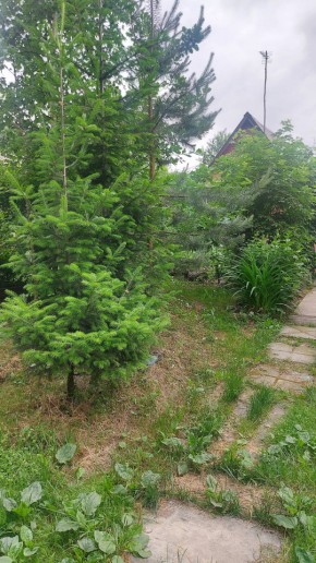 Екатеринбург, СНТ Садовод-24 в Каменске-Уральском - kamensk-uralsk.yutvil.ru - фото 15