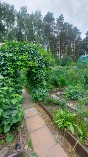 Екатеринбург, СНТ Садовод-24 в Каменске-Уральском - kamensk-uralsk.yutvil.ru - фото 20