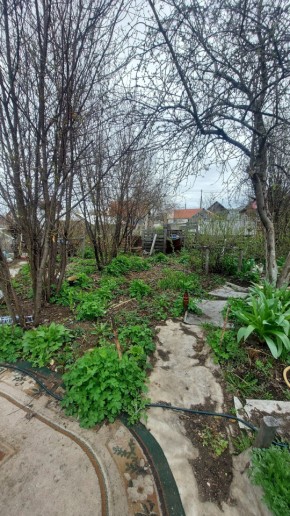 СНТ Сирень, уч. 38 в Каменске-Уральском - kamensk-uralsk.yutvil.ru - фото 7