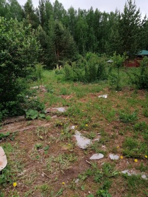 СТН Семья №112, Верхняя пышма на землях бывшего подсобного хозяйтва верхнепышминского опытного завода в Каменске-Уральском - kamensk-uralsk.yutvil.ru - фото 17 СТН Семья №112, Верхняя пышма на землях бывшего подсобного хозяйтва верхнепышминского опытного завода в Каменске-Уральском - kamensk-uralsk.yutvil.ru - фото 17