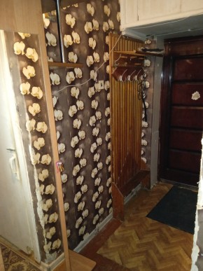 ул. Бажова,11 в Каменске-Уральском - kamensk-uralsk.yutvil.ru - фото 9