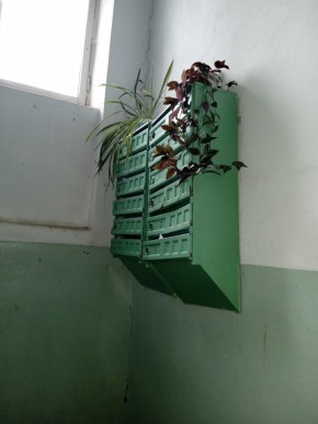 ул. Бажова,11 в Каменске-Уральском - kamensk-uralsk.yutvil.ru - фото 3