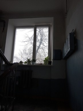 ул. Донбасская,27 в Каменске-Уральском - kamensk-uralsk.yutvil.ru - фото 5 ул. Донбасская,27 в Каменске-Уральском - kamensk-uralsk.yutvil.ru - фото 5