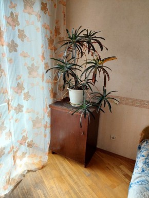 ул. Индустрии,29 в Каменске-Уральском - kamensk-uralsk.yutvil.ru - фото 4