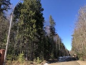 ул. Калиновая,9 в Каменске-Уральском - kamensk-uralsk.yutvil.ru - фото 4 ул. Калиновая,9 в Каменске-Уральском - kamensk-uralsk.yutvil.ru - фото 4