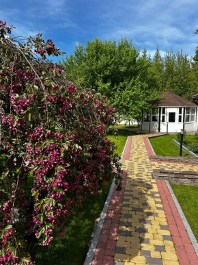 ул. Первомайская,220 в Каменске-Уральском - kamensk-uralsk.yutvil.ru - фото 2