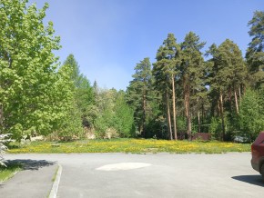 ул. Сосновая, 8 в Каменске-Уральском - kamensk-uralsk.yutvil.ru - фото 26 ул. Сосновая, 8 в Каменске-Уральском - kamensk-uralsk.yutvil.ru - фото 26