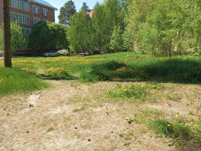 ул. Сосновая, 8 в Каменске-Уральском - kamensk-uralsk.yutvil.ru - фото 33 ул. Сосновая, 8 в Каменске-Уральском - kamensk-uralsk.yutvil.ru - фото 33