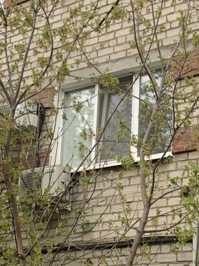 ул. Таганская,8 в Каменске-Уральском - kamensk-uralsk.yutvil.ru - фото 14
