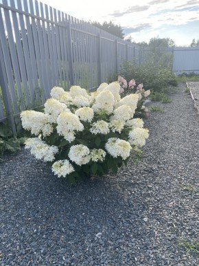 ул. Весенняя,12 в Каменске-Уральском - kamensk-uralsk.yutvil.ru - фото 20